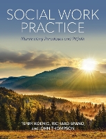 Social Work Practice: Illuminating Paradoxes and Pitfalls (Hardback)