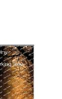 Jack's Destiny (Paperback)