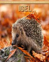 Igel: Das wesentliche Handbuch uber diese erstaunlichen Tiere mit tollen Fotos (Paperback)