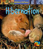 Hibernation - Young Explorer: Nature's Patterns (Paperback)