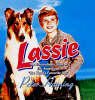 Lassie: The Extraordinary Story of Eric Knight and 'The World's Favourite Dog' (Hardback)