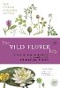 The Wild Flower Key (Paperback)