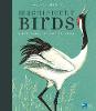 Magnificent Birds - Walker Studio (Hardback)