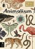 Animalium - Welcome To The Museum (Hardback)