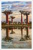 The Gardens of Mars: Madagascar, an Island Story (Hardback)