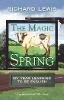 The Magic Spring (Paperback)