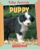 Baby Animals Puppy (Paperback)
