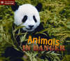 Animals in Danger - Start Reading S. (Paperback)