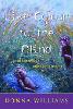 Like Colour to the Blind: Soul Searching and Soul Finding (Paperback)