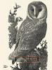 Charles Tunnicliffe: Prints: A Catalogue Raisonné (Hardback)