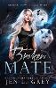Broken Mate (Paperback)