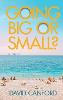 Going Big or Small? (Paperback)