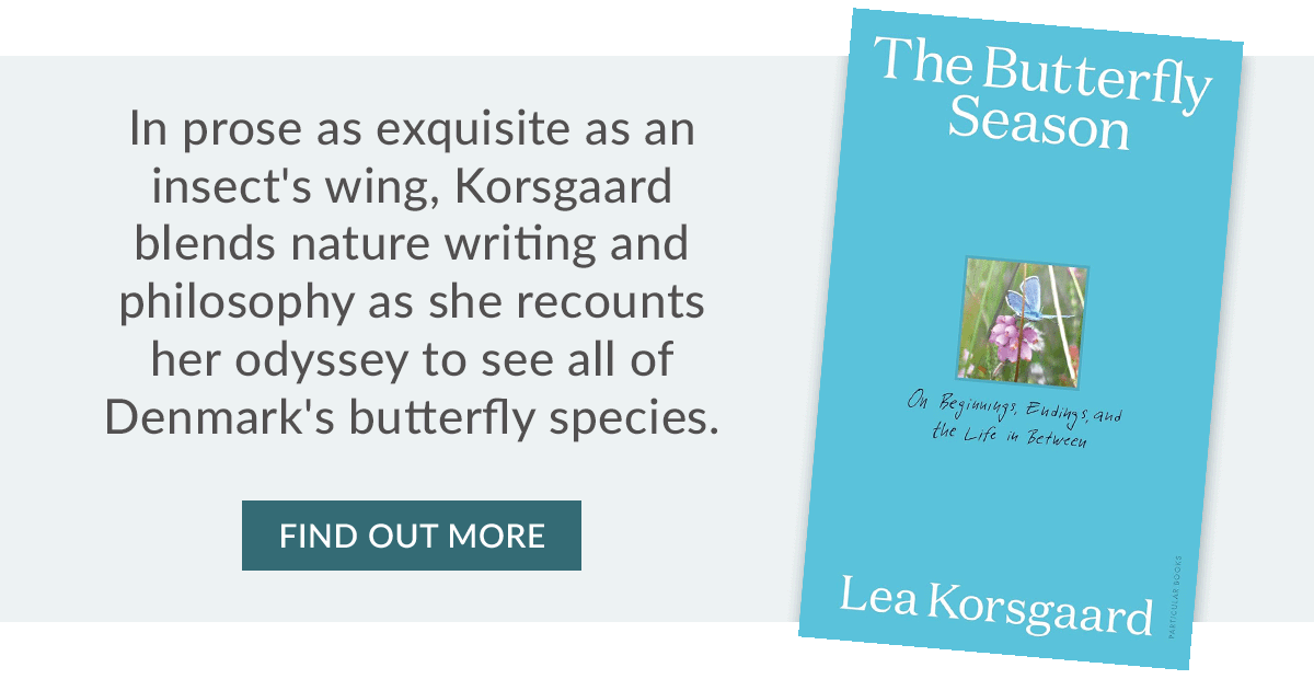 The Butterfly Season by Lea Korsgaard | FIND OUT MORE