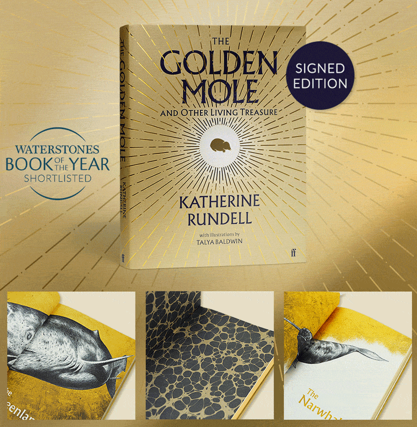 The Golden Mole by Katherine Rundell | SIGNED | Waterstones Book of the Year Shortlisted