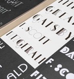 Redesigning Fitzgerald - Sinem Erkas