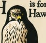 Non-fiction Book of the Month: H is for Hawk