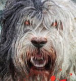 What's eating Darren Shan?
