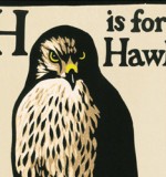 Costa Book of the Year Nominee: H is for Hawk by Helen Macdonald