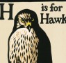 Costa Book of the Year Nominee: H is for Hawk by Helen Macdonald