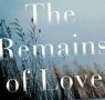 JQ Wingate Nominee: The Remains of Love by Zeruya Shalev 