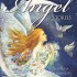 Fighting Back - Shades (Paperback)