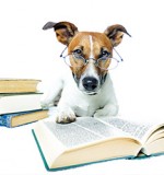 Beware My Fangs – Five Fictional Dogs