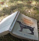 Where I Write by author Sara Baume