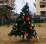 A Cypriot Christmas Tree by Victoria Hislop