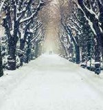 A Walk in The Fictional Snow: Seven Chilling Winter Tales