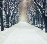 A Walk in The Fictional Snow: Seven Chilling Winter Tales