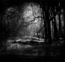 Michelle Paver: Ten of the Best Ghost Stories