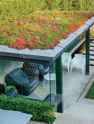 RHS The Urban Gardener (Paperback)