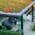 RHS The Urban Gardener (Paperback)