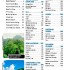 Lonely Planet South Pacific - Travel Guide (Paperback)