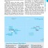 Lonely Planet South Pacific - Travel Guide (Paperback)