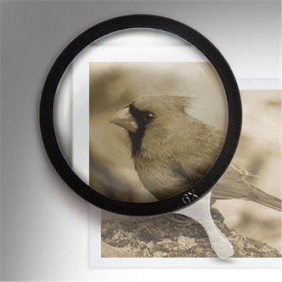 Professional Loupe