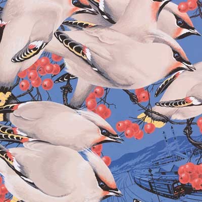 As Kingfishers Catch Fire: Birds & Books (Hardback)