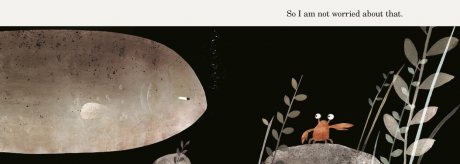 this is not my hat jon klassen