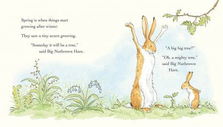 Guess How Much I Love You In The Spring By Sam Mcbratney Anita Jeram Waterstones