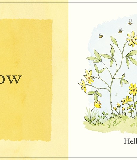 Guess How Much I Love You: Colours - Guess How Much I Love You (Board book)