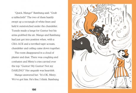 Mango & Bambang: Superstar Tapir (Book Four) - Mango and Bambang (Hardback)