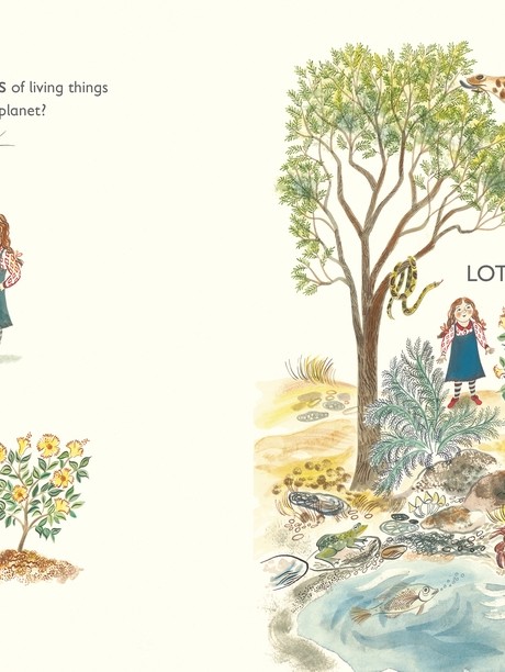 Lots: The Diversity of Life on Earth (Hardback)