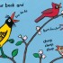 A Busy Day for Birds (Hardback)