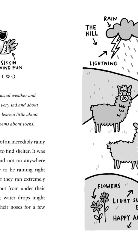 Uncle Shawn and Bill and the Almost Entirely Unplanned Adventure - Uncle Shawn (Hardback)