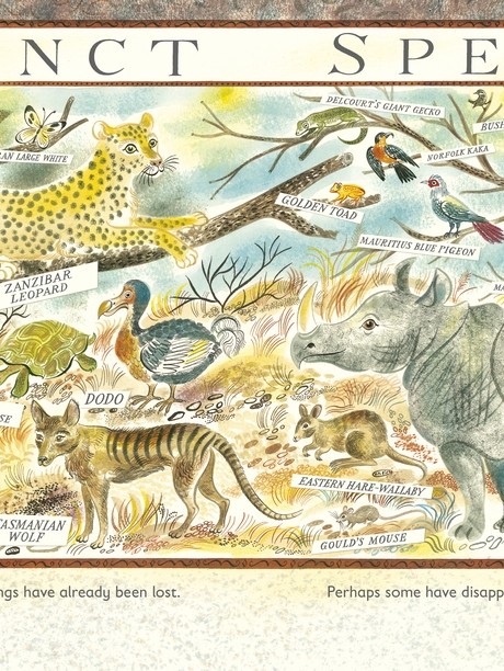 Lots: The Diversity of Life on Earth (Hardback)
