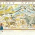 Lots: The Diversity of Life on Earth (Hardback)