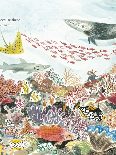 Lots: The Diversity of Life on Earth (Hardback)