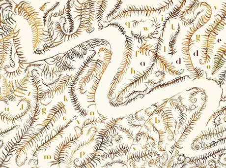 The Lost Words (Hardback)