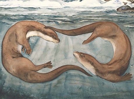 The Lost Words (Hardback)