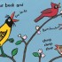 A Busy Day for Birds (Paperback)